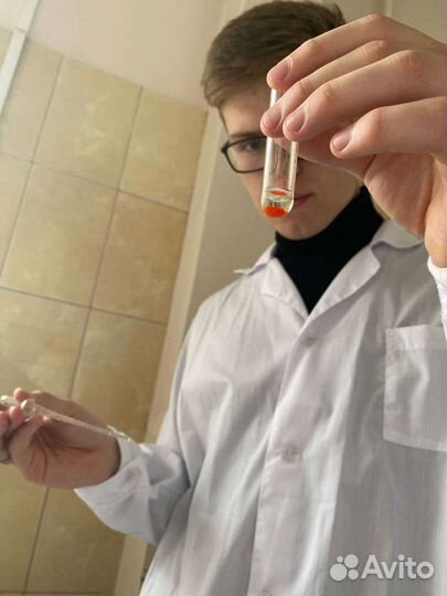 Репетитор по химии егэ/огэ/впр