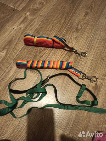 Поводоки цветные, шлейка с поводком
