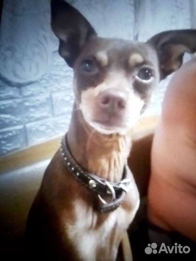 Помогите найти