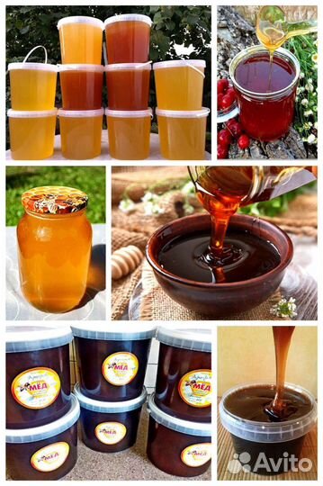 Мед 2023 (Алтай, Башкирия, Краснодар)