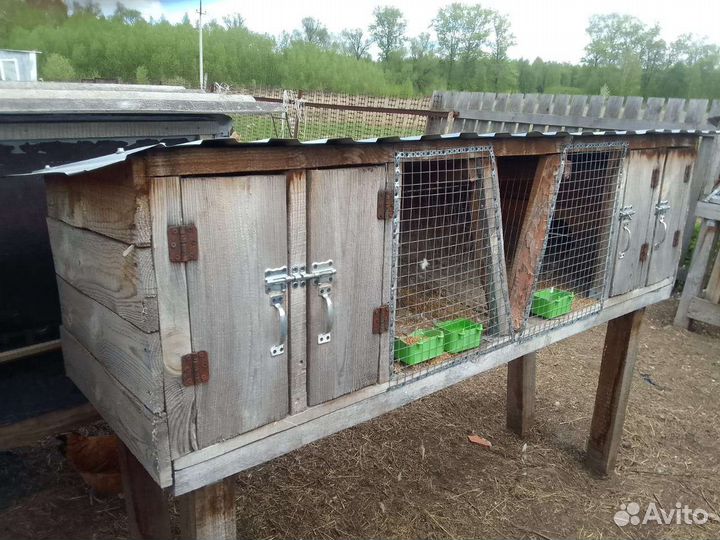 Клетка для кроликов с маточником