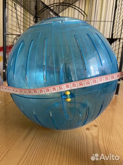 Прогулочный шар