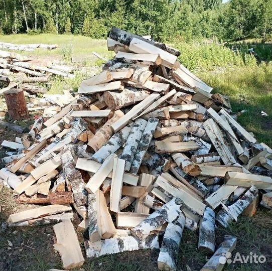 Дрова береза