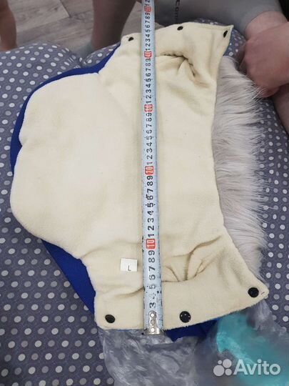 Одежда для собак