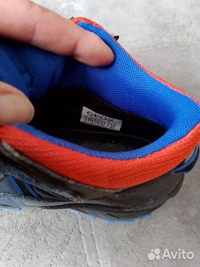 Ботинки демисезонные Geox