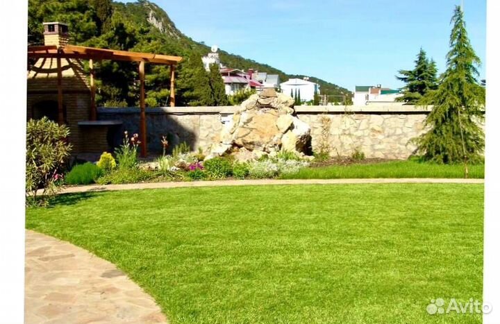 Рулонный газон, газон посевной