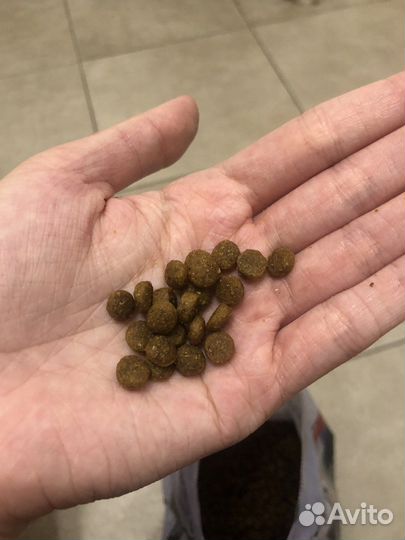 Корм для щенков средних и крупных пород Территория