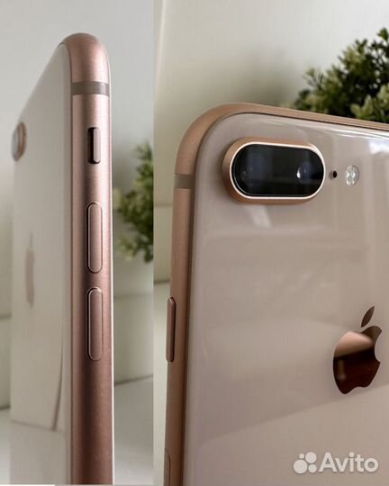 iPhone 8 Plus, 256 ГБ