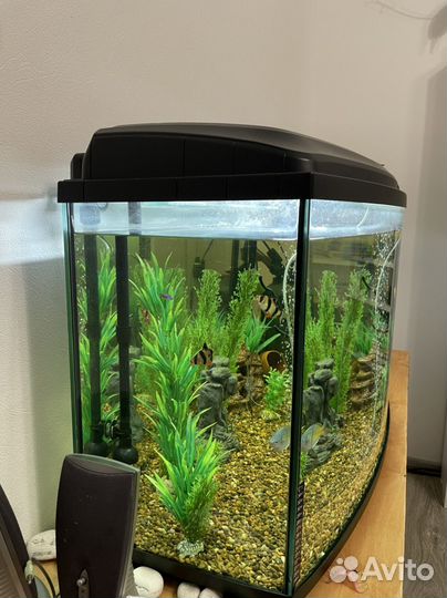Аквариум aquael 200 литров с фильтром