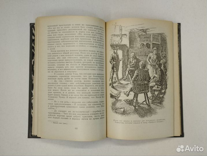 Д. Фенимор Купер. Пионеры. Рамка