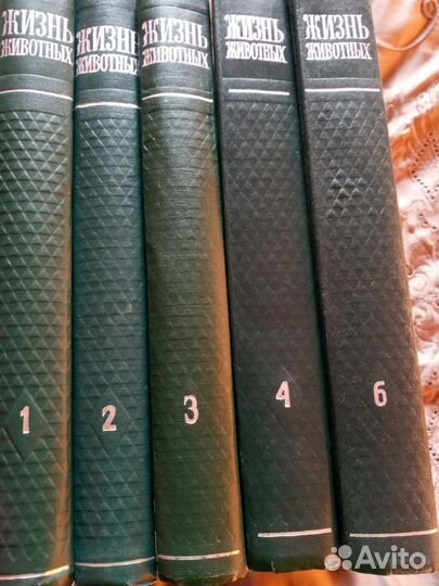 Энциклопедия аванта и жизнь животных 1969г