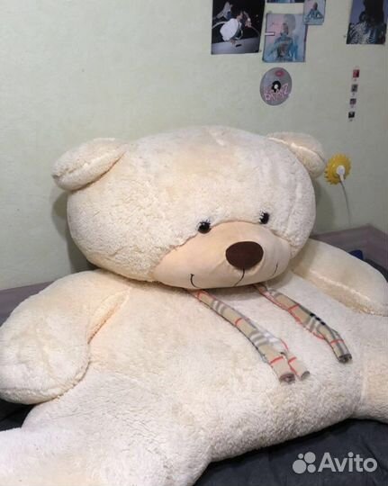 Большие плюшевые медведи