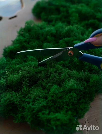 Стабилизированный мох панно