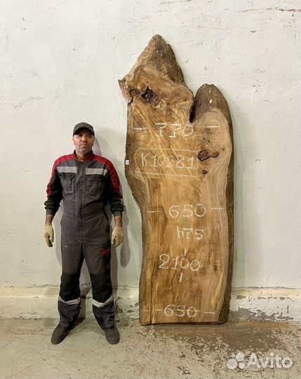 Слэб карагач от производителя