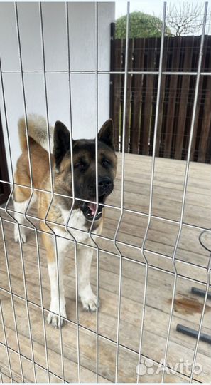 Тротуарная плитка новая заказ от 120 м2