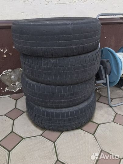 Белшина Бел-81