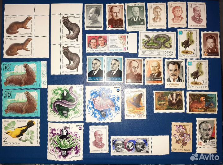 Набор чистых негашенных марок почта СССР