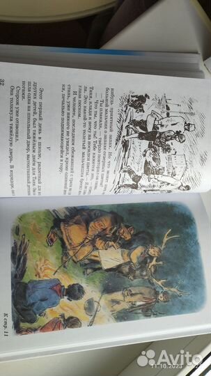 Дикая собака динго