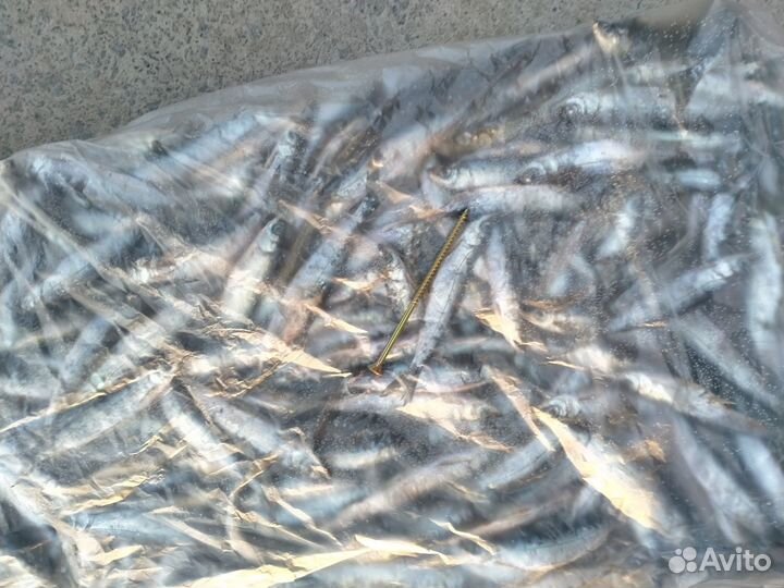 Корма для животных