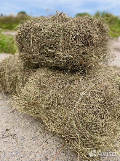 Сено в кипах. В наличии и на заказ