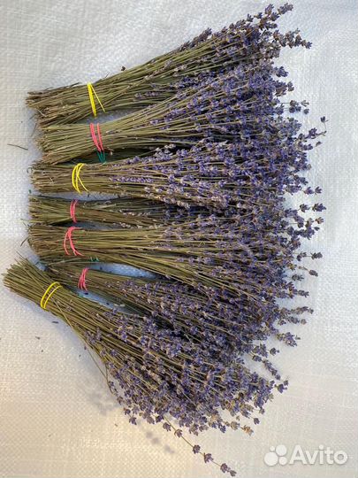 Лаванда букеты