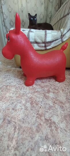 Ослик прыгун