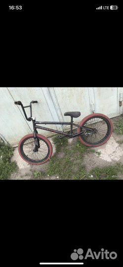 BMX crass hopper