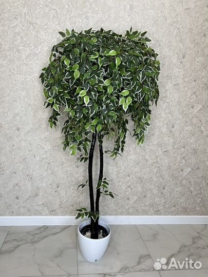 Искусственный Фикус Бенжамина