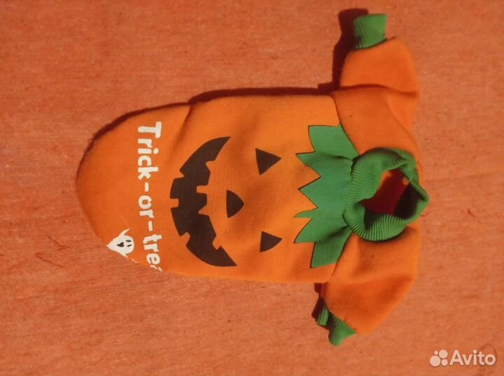 Одежда для собачки