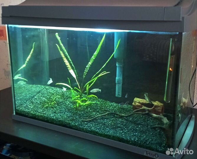 Аквариум Tetra Aqua Art 60 литров