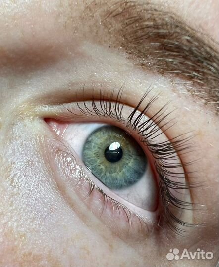 Ищу моделей на ламинирование ресниц