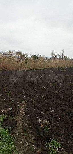 Участок 12 сот. (СНТ, ДНП)