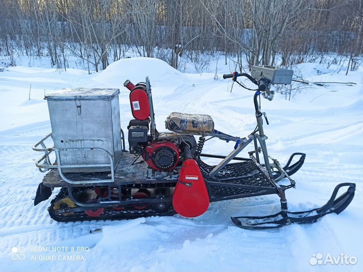 Мото собака