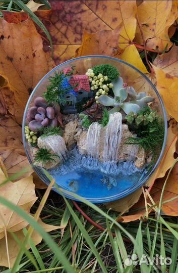 Флорариум с суккулентами мини Подарок