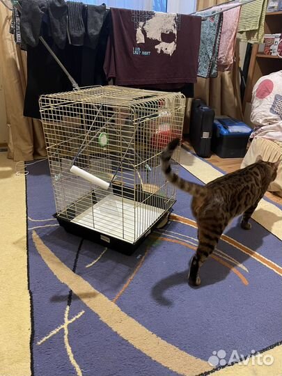 Клетка для животных, грызунов, птиц, попугаев