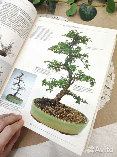 Книга про бонсай на английском языке