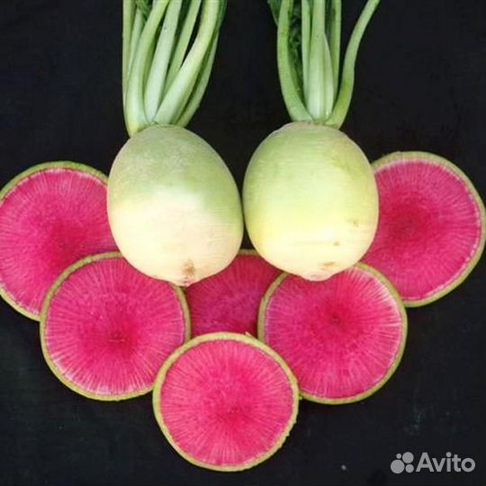 Арбузная редька, семена, 50 шт