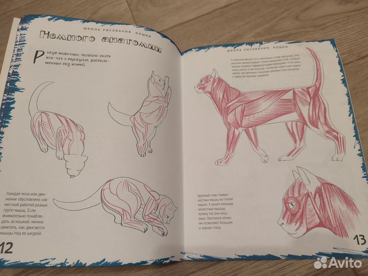 Книга школа рисования. Кошки