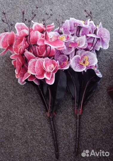 Орхидея букет