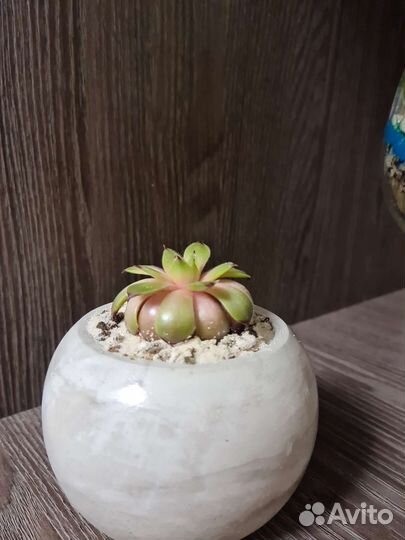 Кашпо для цветов керамика