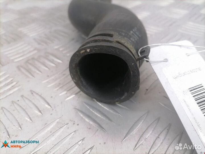 Патрубок радиатора Opel Omega B 1998 90509314