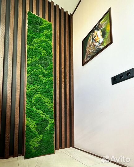 Мох ягель стабилизированный для декора