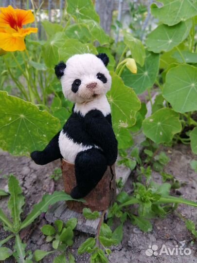 Панда тедди Panda тедди