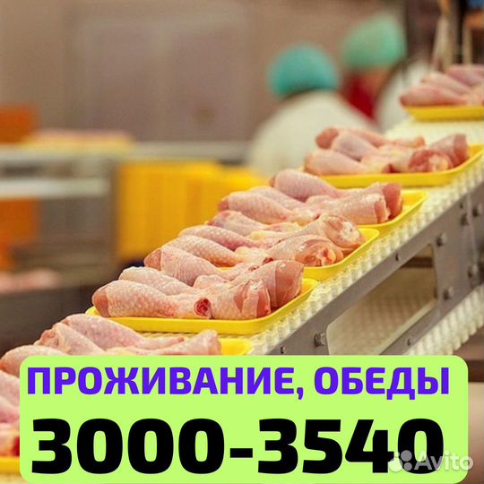 Выезд из Уфы, вахта Нижний Новгород упаковщик