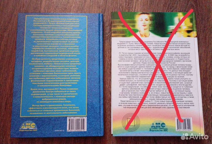 Книга Л. Г. Пучко