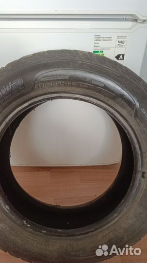 Sava Eskimo Stud 175/65 R14