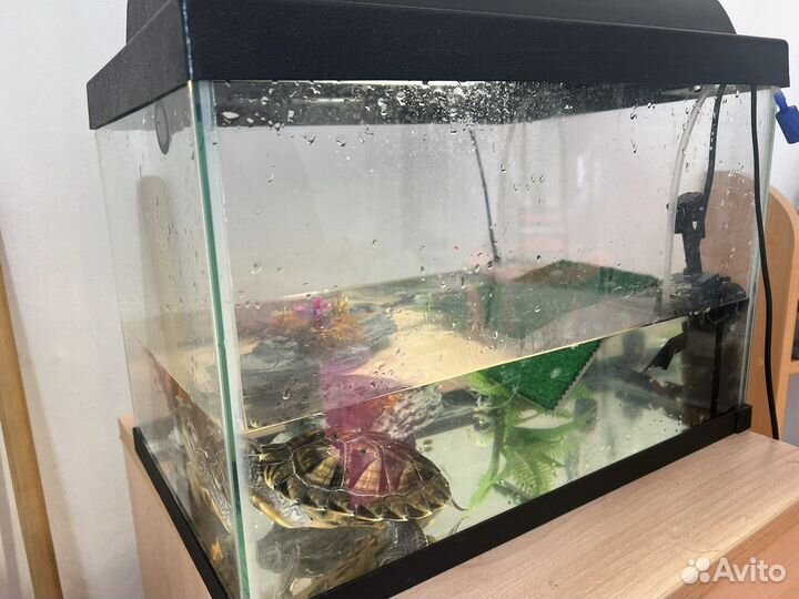 Террариум для черепахи