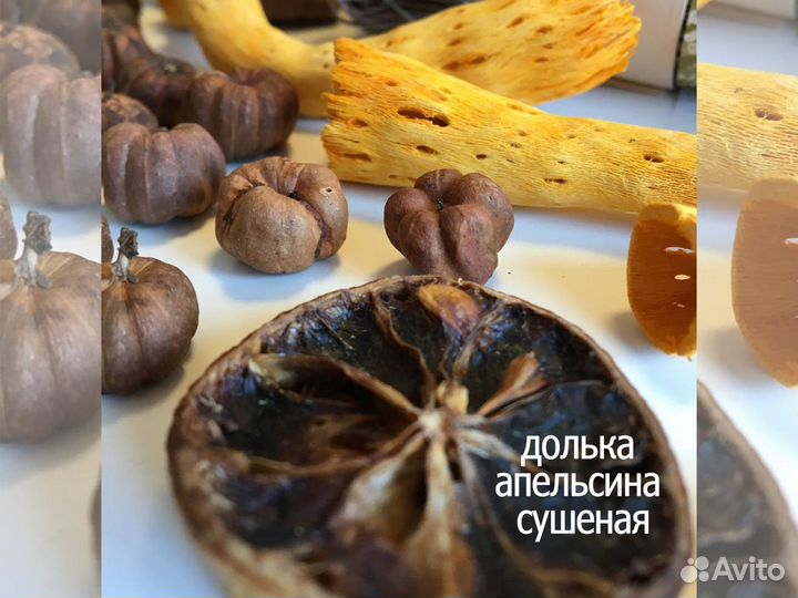 Набор природных материалов для творчества