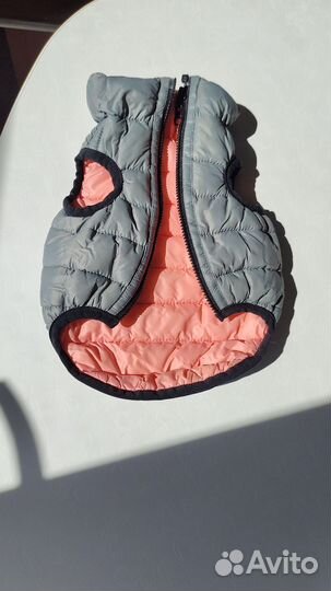 Одежда для маленьких собак