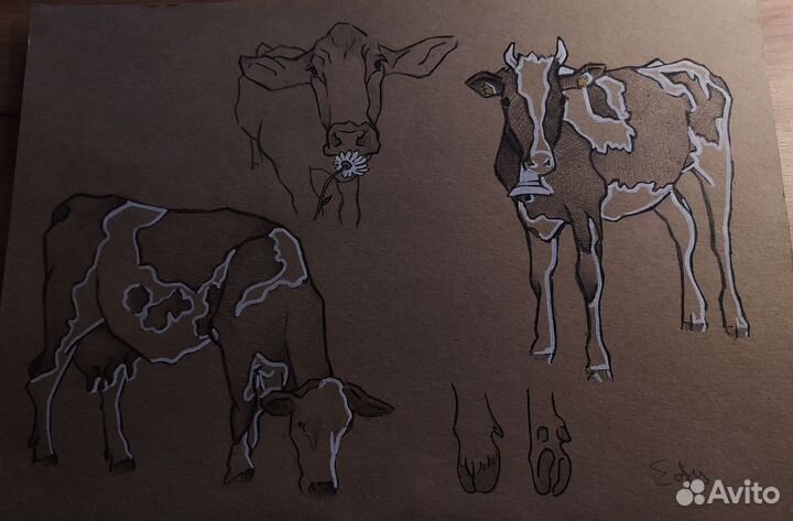 Рисунок/скетч